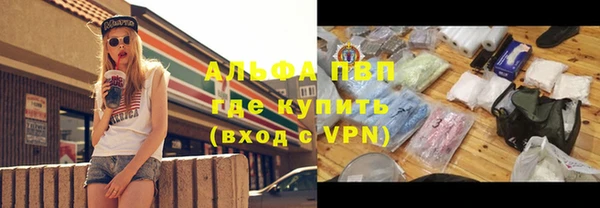 дживик Белокуриха