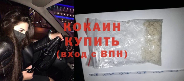 дживик Белокуриха