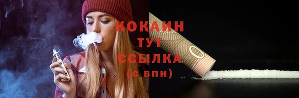 дживик Белокуриха