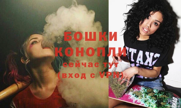 дживик Белокуриха