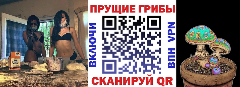 Купить Протвино Галлюциногенные грибы Cubensis